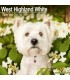 West Highland White terrier 2026