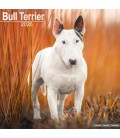 Bull Terrier calendrier 2026