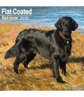 Flat Coated Retriever 2026