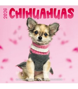 Chihuahua STUDIO 2026