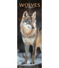 Loups 2026 (calendrier étroit)