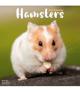 Hamsters 2026