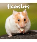 Hamsters 2026