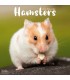 Hamsters 2026