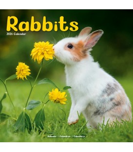 Lapins 2026