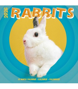 Lapins (studio) 2026