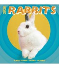 Lapins (studio) 2026