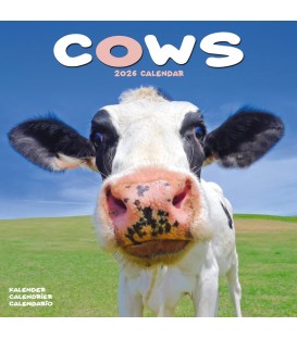 Vaches 2026