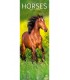 Chevaux (calendrier étroit) 2026