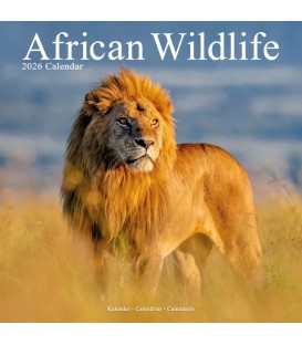 Animaux sauvages d'Afrique 2026