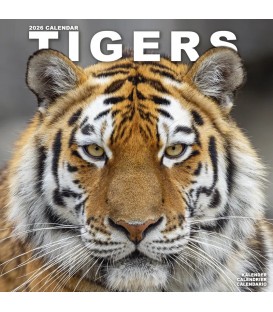 Tigres 2026