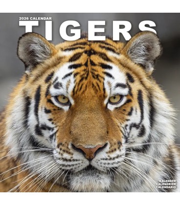 Tigres 2025