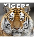 Tigres 2026