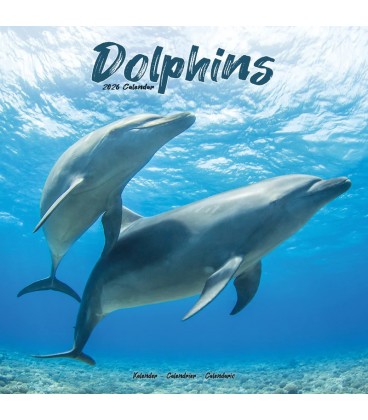 Dauphins 2026