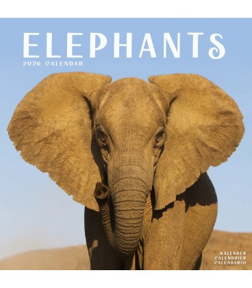 Elephants 2026