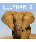 Elephants 2026