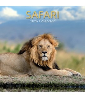 Safari 2026