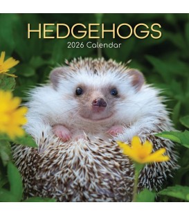 Hérissons 2026