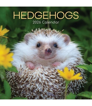 Hérissons 2026