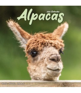Alpagas 2026