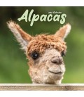 Alpagas 2026