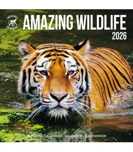 Animaux sauvages incroyables 2026