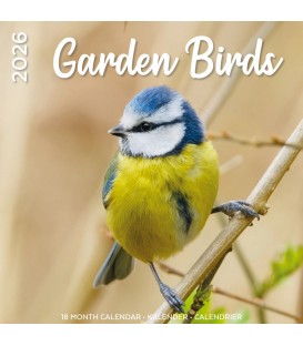 Calendrier Oiseaux du jardin 2026