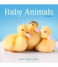 Bébés animaux 2026