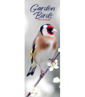 Oiseaux du jardin (calendrier étroit) 2026