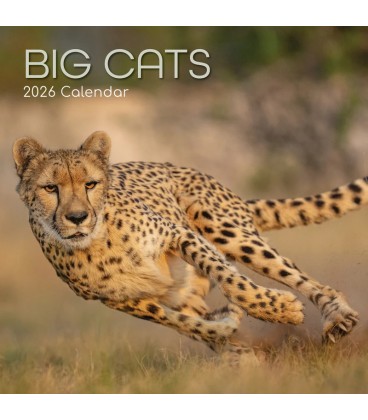 Grands félins 2026
