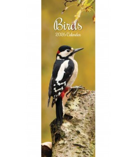 Oiseaux 2026 (calendrier étroit)