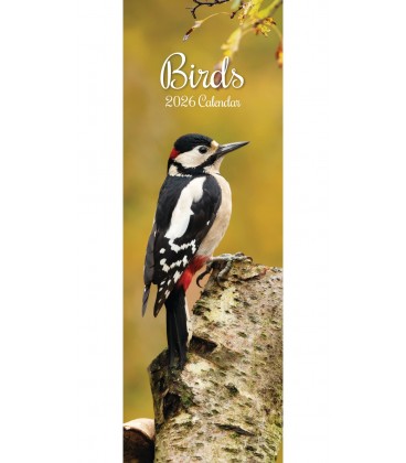 Oiseaux 2026 (calendrier étroit)
