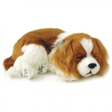 Peluche Perfect Pezzzz cavalier king Charles